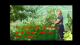 Polytunnel tidy and what do I do with my old seeds [upl. by Maupin]