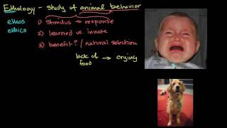 Ethology and animal behavior [upl. by Savitt851]