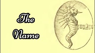 The Name The Gnostics And Their Remains By C W King 4251 [upl. by Harte]