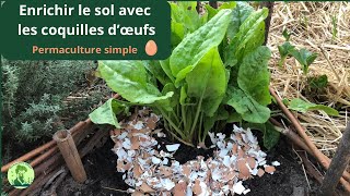 ♻️ Recyclez vos coquilles dœufs et offrez un boost à votre permaculture DIY  🥚🥚🥚 [upl. by Hseham]