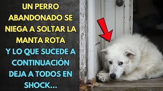 PERRO ABANDONADO SE NIEGA A SOLTAR LA MANTA ROTA LO QUE SUCEDE A CONTINUACIÓN DEJA A TODOS EN SHOCK [upl. by Anitac427]