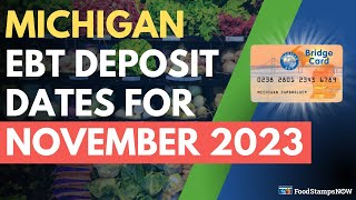 Michigan Food Stamp Deposit Dates for November 2023 [upl. by Henri940]