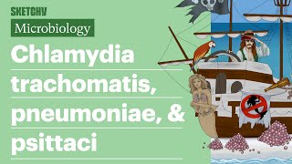 Chlamydia trachomatis pneumoniae amp psittaci  USMLE Step 1  Sketchy Medical [upl. by Ihc]