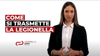 Come si trasmette la Legionella  LegionellaZero [upl. by Efal]