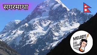 सगरमाथा  Sagarmatha  Mt Everest  Mt 8848  Melody with Biru Gurung [upl. by Cherry]