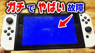 こんな酷い壊れ方してるSwitch初めて【ブルースクリーン】 [upl. by Aenyl]