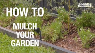 How To Mulch Your Garden A StepByStep Guide from Bunnings Warehouse [upl. by Atiroc]