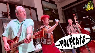 ▲Polecats  Live at Nasty Boys Saloon May 2024 [upl. by Ecilahs127]