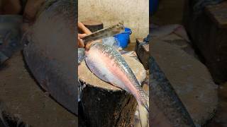 Amazing Hilsa Fish Cutting Skills In Bangladesh Local Fish Market Part6 shorts [upl. by Supen]