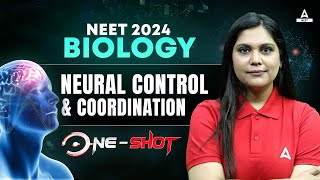 Neural Control and Coordination Class 11 One Shot  NEET 2024 Biology  Garima Goel [upl. by Beare279]