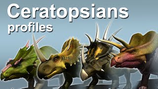 Ceratopsians profiles [upl. by Hillegass]