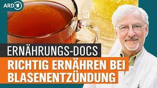 Blasenentzündung mit Gemüse und Gewürzen behandeln  Die ErnährungsDocs  NDR [upl. by Nahaj]