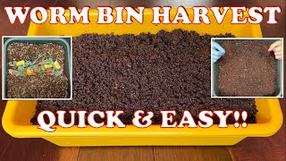 Easy Way to Harvest a Worm Tower  New Feeding amp Cocoon Nursery Start  Vermicompost Worm Farm [upl. by Bacon397]