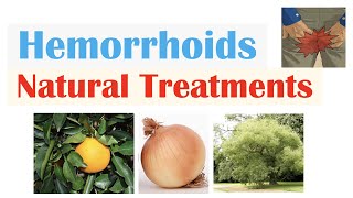 How To Treat Hemorrhoids  9 Natural Treatments Plant Flavonoids for Hemorrhoidal Disease [upl. by Ploss444]