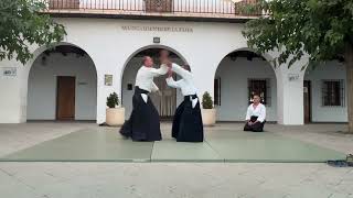 Guillermo Balderas 5 º dan aikido aikikai Pitres La Taha 2024 [upl. by Yrtneg]