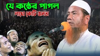 যে কন্ঠের পাগল লাখো কোটি জনতা। Bangla Waj । মেরাজুল হক মাজহারী ওয়াজ । Merajul Haque Mazhari [upl. by Ferde]