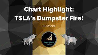 Why Is TSLA Stock Going Down [upl. by Boehike]