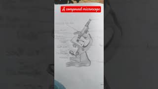 A compound microscope🤩practical diagram shorts ytshorts youtubeshorts microscope [upl. by Frech9]