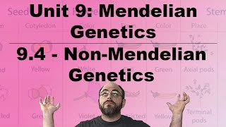 Honors Biology Unit 9  94  NonMendelian Genetics [upl. by Aimee]