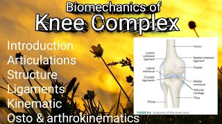 Biomechanics of knee complex details easy notes  physiotherapy BPT important topic 📝 [upl. by Nyliret902]