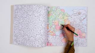 Fantastic Planet Coloring Book by Steve McDonald [upl. by Aklog]