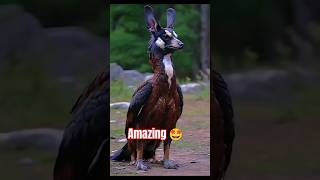 Amazing animal youtubeshorts viralshort amazing vfx amazingfacts [upl. by Eba]