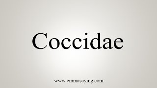 How To Say Coccidae [upl. by Durkin]