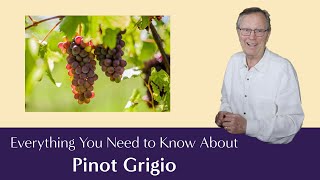 Pinot Grigio Everything You Need to Know  Including Suggested Food Pairings [upl. by Aimas]