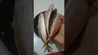 தினமும் மீன் சாப்பிடுங்கள் 😋👌tamil health benefits fish drsivaraman speech [upl. by Merriott110]