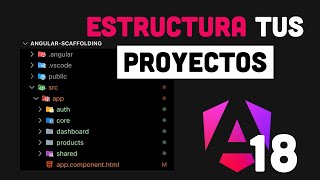 ¡ORGANIZA tus proyectos en ANGULAR 18 de esta manera [upl. by Yrgoerg]