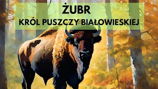 Żubr Największy ssak lądowy Europy [upl. by Ahsienak]