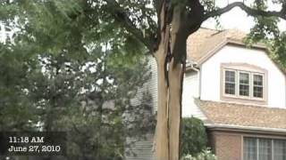 Lightning Torches 2 Cars Splits a Tree in Half Vertically and Hits a House with a Blue Flash [upl. by Saire]