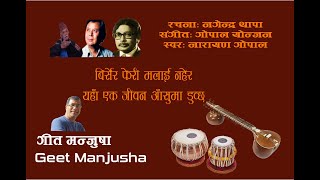 Narayan Gopal  Birsera Feri Malai Nahera Full lyrics in description [upl. by Bully493]