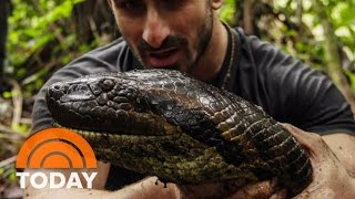 Eaten Alive By Anaconda Why I Did It  TODAY [upl. by Nosiddam27]