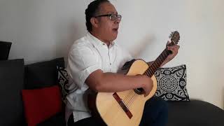 Mitad tu Mitad yo Alejandro Fernández cover guitarra [upl. by Nyvrem822]