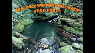 New England National Park  Ebor Part 1 [upl. by Niarbo86]