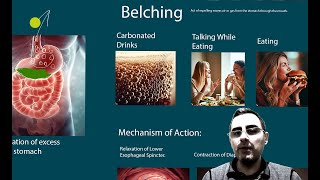 Belching  Which Diseases Cause Belching [upl. by Ayhdiv]