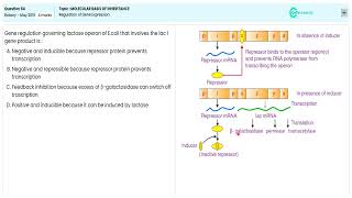 NEET 2015 Botany Understanding Gene Expression Regulation  Question 84 Breakdown [upl. by Nosrej]