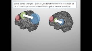 Le Cerveau Funambule 23  Pouce Index Majeur [upl. by Volpe]