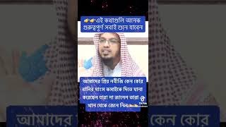 gazal gozol gojol bangla gazal Islamic gazal bangla gojol gojol bangla bangla Islamic gojol [upl. by Rap902]