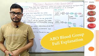 Multiple Allele in respect with ABO Blood [upl. by Eanod812]