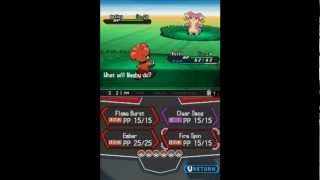 Training Tips 1  Audino FarmingFast Level Up [upl. by Sidwel]