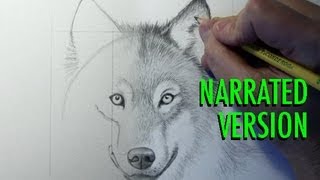 How to Draw a Wolf Narrated [upl. by Mosnar]