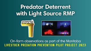 Manitoba Livestock Predation Prevention Pilot Project  Light Source [upl. by Ysle]