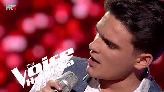 Martin Kosovec quotIll Never Fall In Love Againquot  Nokaut 3  The Voice Hrvatska  Sezona 4 [upl. by Atsillac]