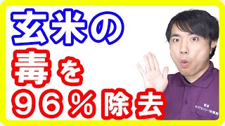 【玄米危険性】玄米のフィチン酸を96％減少させ美味しくする方法！浸水・発芽・発酵玄米の違いとは【English sub・全文字幕】 [upl. by Sirromed230]