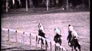 1964 Cheltenham Gold Cup Arkle and Mill Houseavi [upl. by Adnawed]