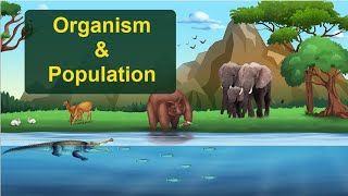 Organisms and Populations  NCERT Chapter Explained Class 12 Biology [upl. by Barbra]