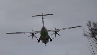 Almost brand new ATR 72 Landing [upl. by Hamilton258]