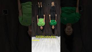 Yoga with Ropes  Practice Advance Asanas for Strength  Sirsasana  Weight loss yogatute [upl. by Resor986]